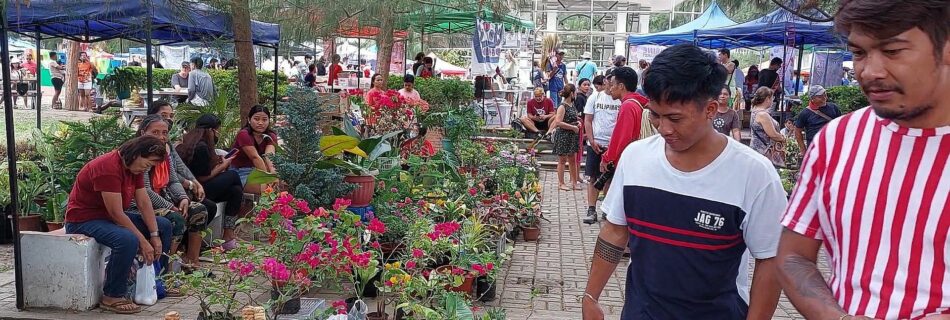 At the Sunday market in Valencia