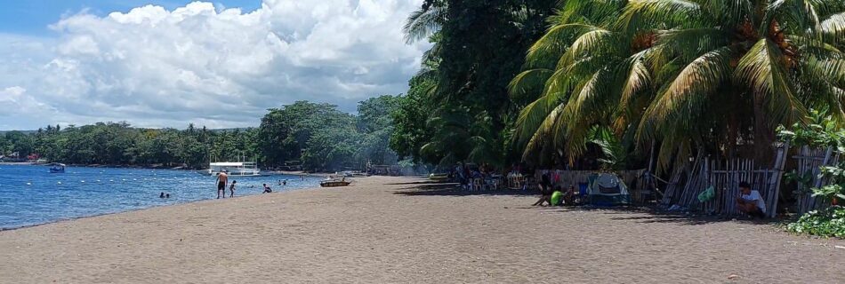 At the beach of Dauin