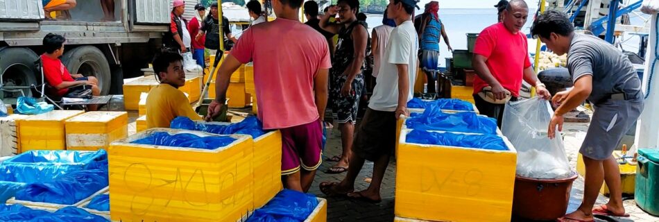 Fish landing at Tambobo Bay in Siaton