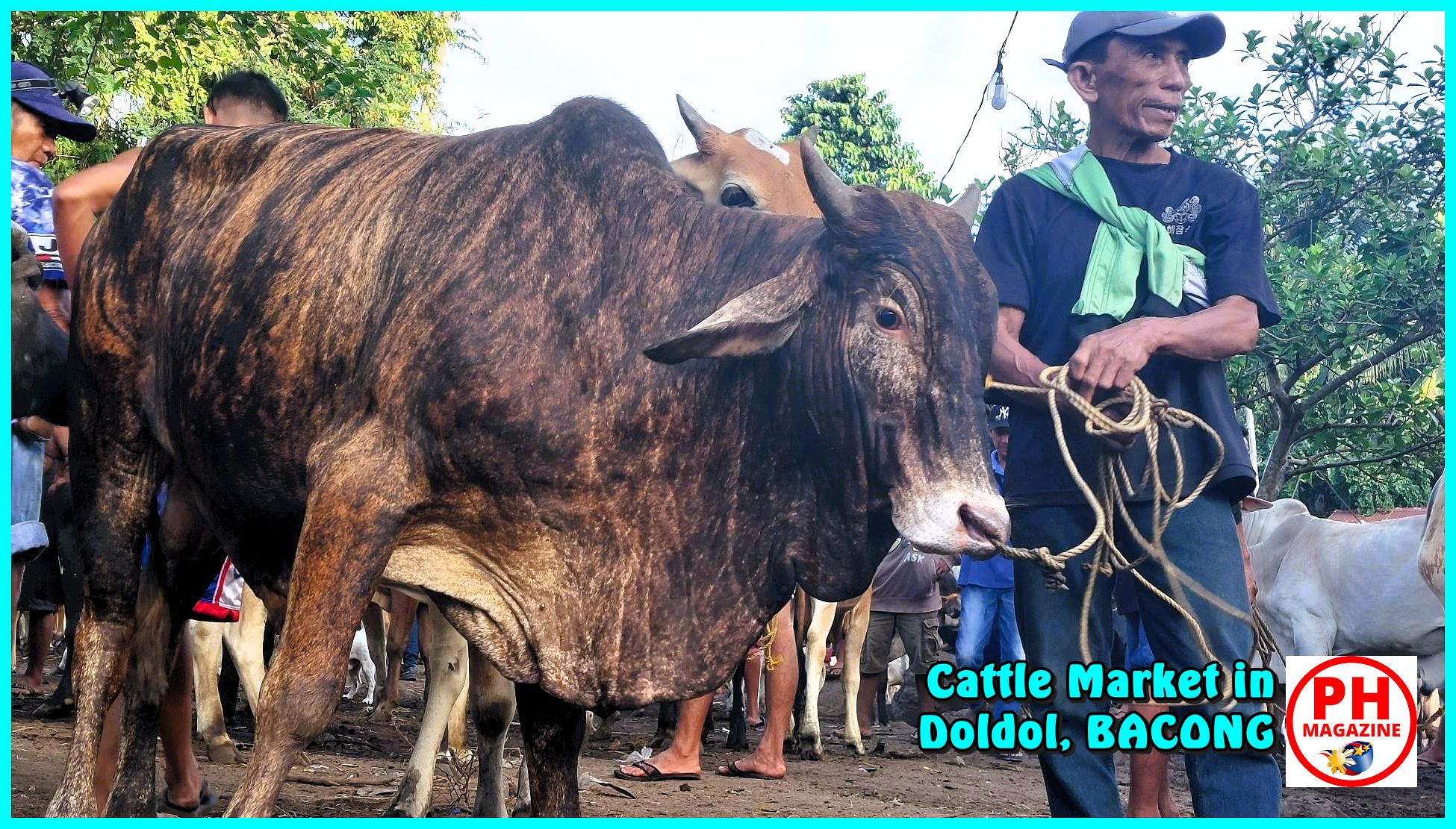 Photo of the Day for December 11, 2023 – Cattle Market in Doldol, Bacong