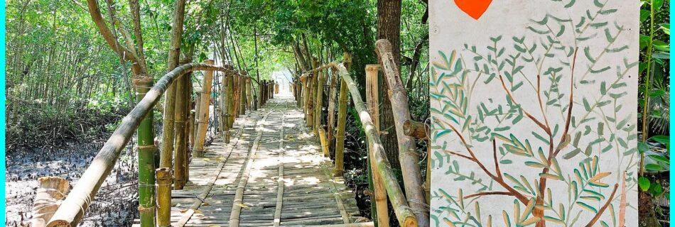 Photo of the Day for December 13, 2023 – Mangroves at Tambobo Bay in Siaton