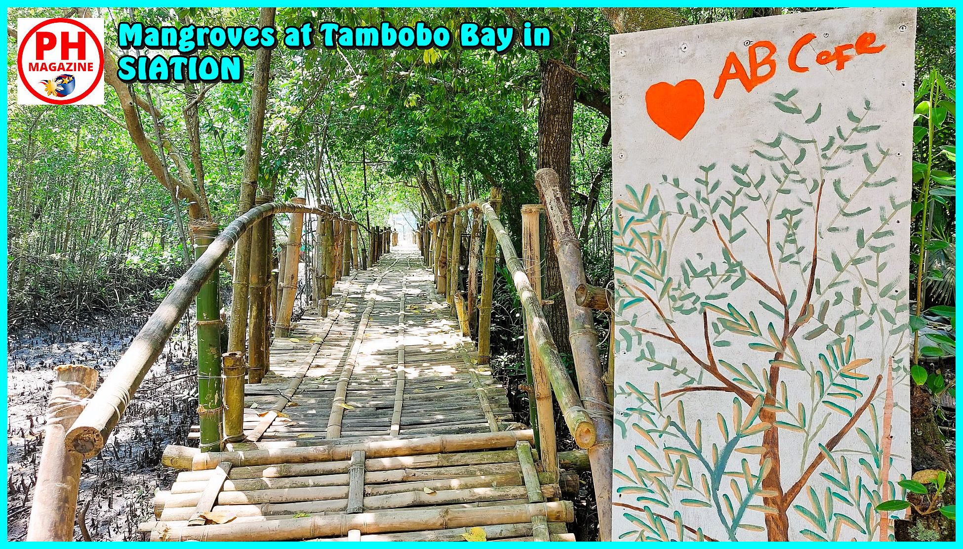 Photo of the Day for December 13, 2023 – Mangroves at Tambobo Bay in Siaton