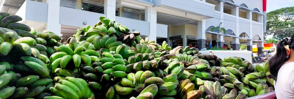 Direct sale of bananas in Dauin