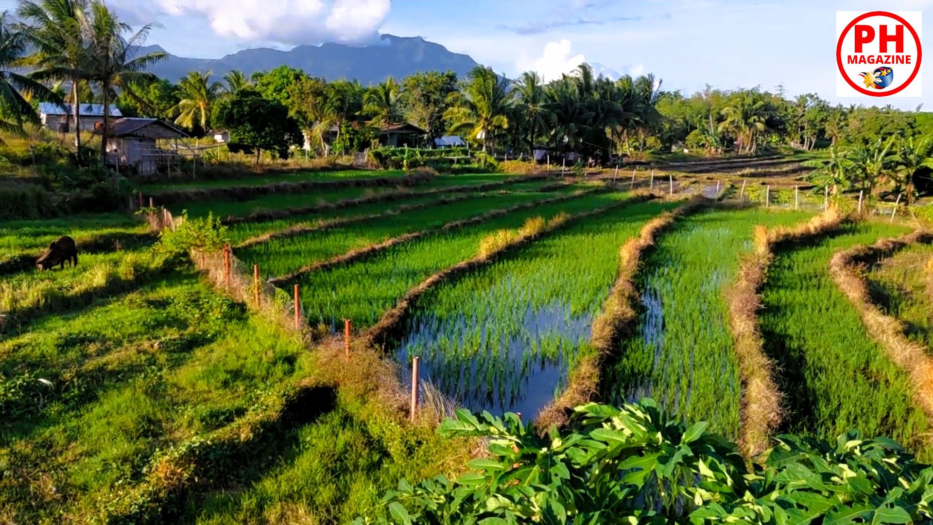 Zamboanguita – Negros Oriental