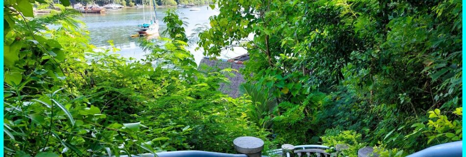 Photo of the Day for December 25, 2023 – Stairs to a private pier at Tambobo Bay