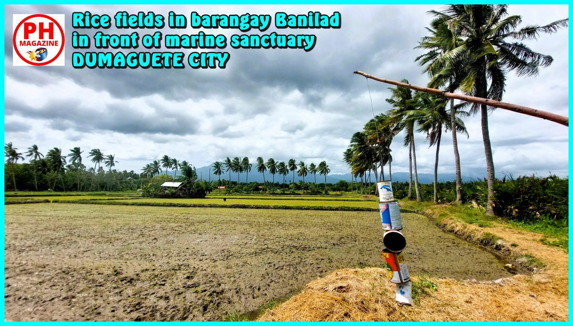 SIGHTS OF NEGROS - PHOTO OF THE DAY - How barangay Banilad in Dumaguete got its name