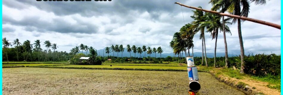 Photo of the Day for January 28, 2024 – How barangay Banilad in Dumaguete got its name