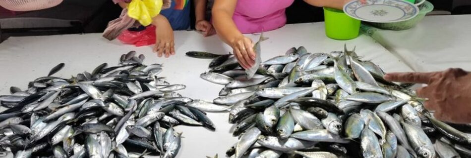 Sustainable fisheries in southern Negros seen