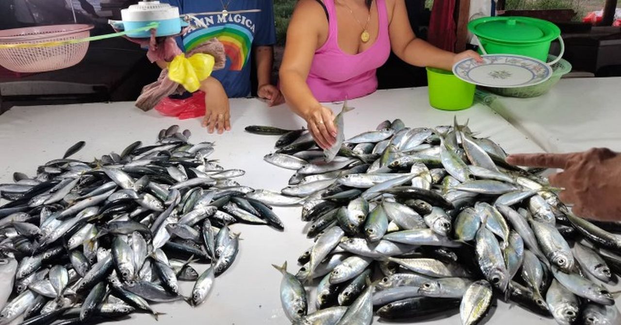 Sustainable fisheries in southern Negros seen