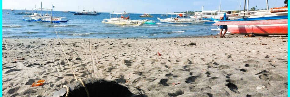 Photo of the Day for February 10, 2024 – Passage to Apo Island in Zamboanguita