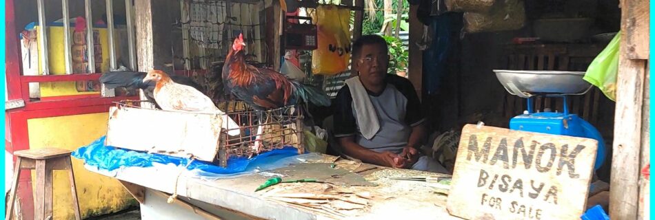 Photo of the Day for March 08. 2024 – Native chicken vendor at market in Tanjay City