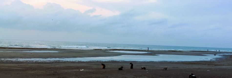 Mangnao Open Beach in Dumaguete City at a very early Morning