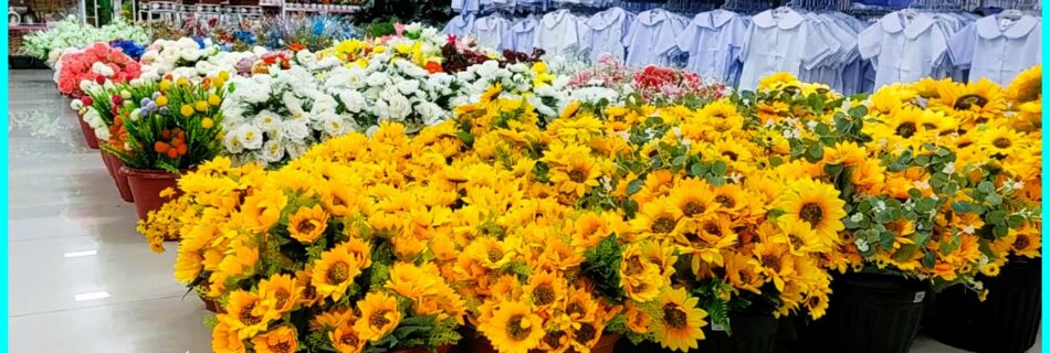 Photo of the Day for March 22, 2024 – A blaze of colour in the artificial flower department