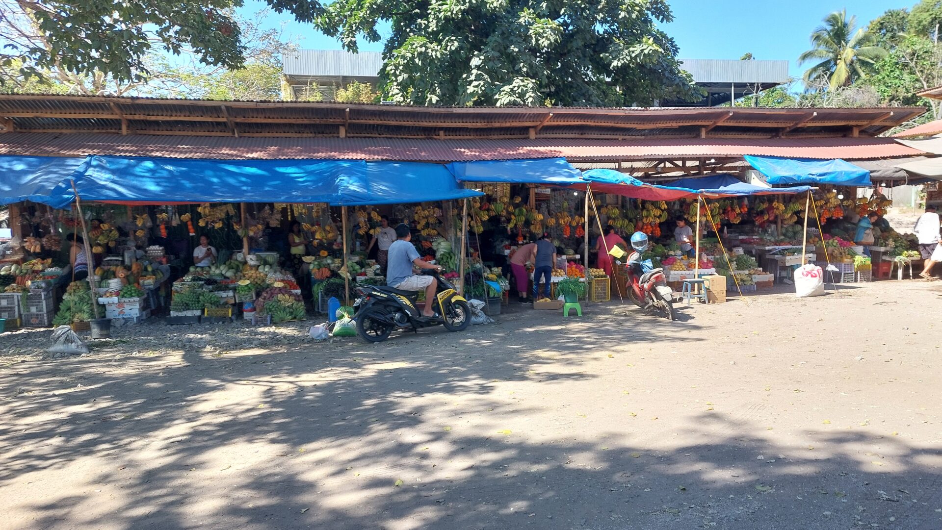 SIGHTS OF NEGROS - BLOG - mpressions of the shopping mile in Bacong