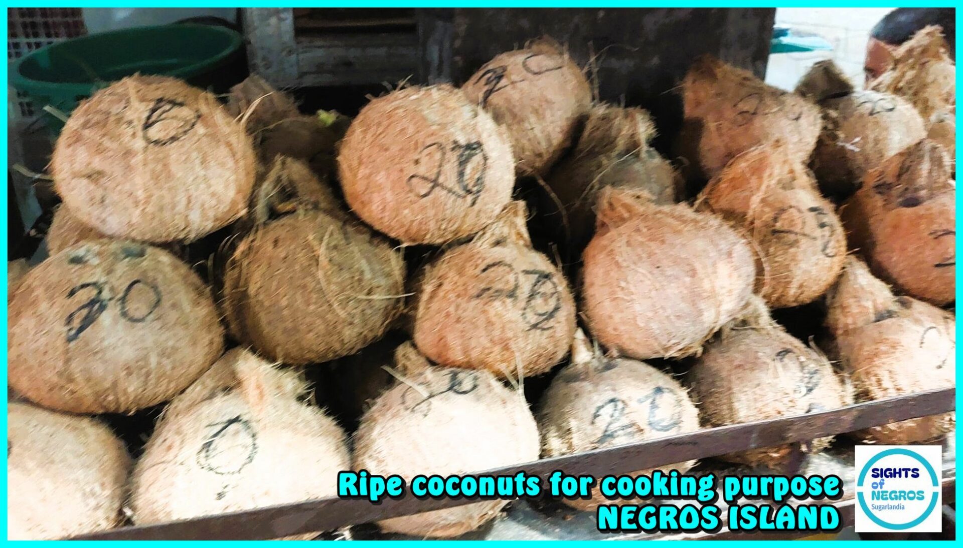 SIGHTS OF NEGROS - PHOTO OF THE DAY - Culinary Treasures: From Coconuts to Delightful Dishes