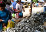 MALATAPAY MARKET in ZAMBOANGUITA