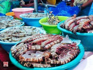 sights-of-negros-oriental-fish-market-dumaguete-03