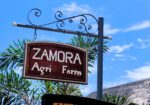 ZAMORA Agri Farm  & CALANGO DAM | Zamboanguita