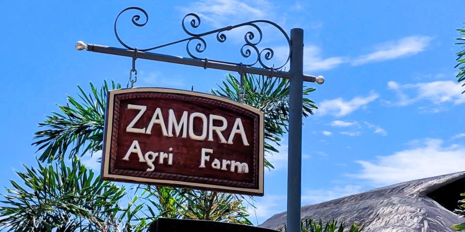 ZAMORA Agri Farm  & CALANGO DAM | Zamboanguita