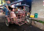 WILD EAST BEASTS – Cattle Market | Philippines