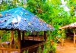 Mambosao Spring Resort + Agri Tourism | Trangkahan, Brgy. Tapi Kabankalan City Negros Occidental Ph