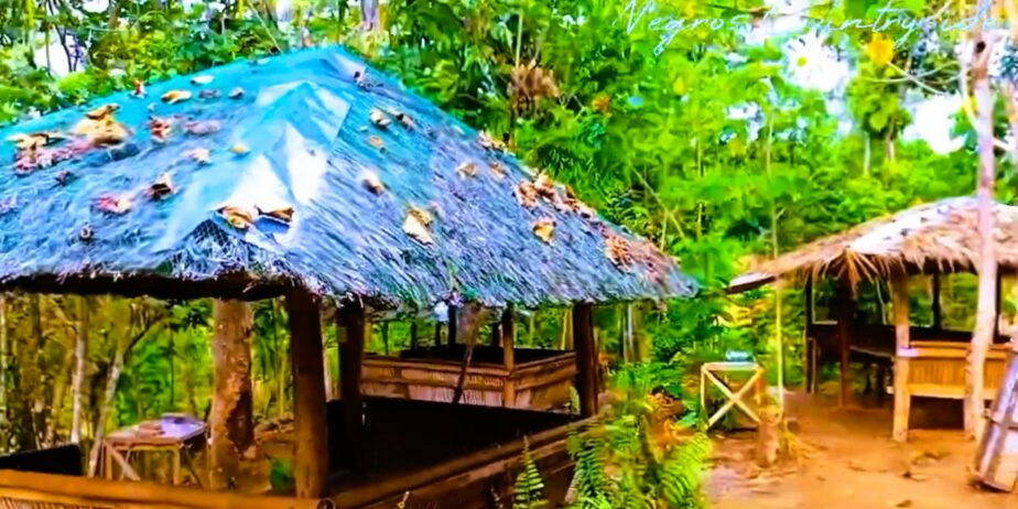 Mambosao Spring Resort + Agri Tourism | Trangkahan, Brgy. Tapi Kabankalan City Negros Occidental Ph